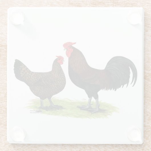 Rotkehlhühner Glasuntersetzer (Rückseite)