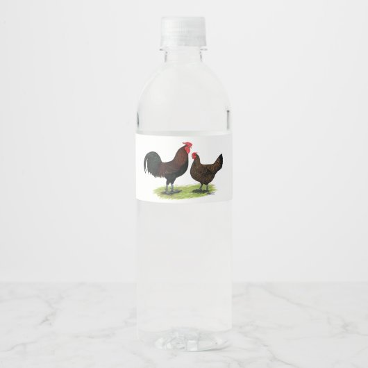 Rotkehlhühner Wasserflaschenetikett (Vorderseite)