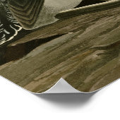 Rotkehltaucher Poster (Ecke)