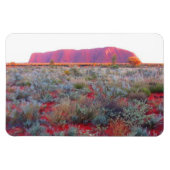 Rotkernuluru Magnet (Horizontal)