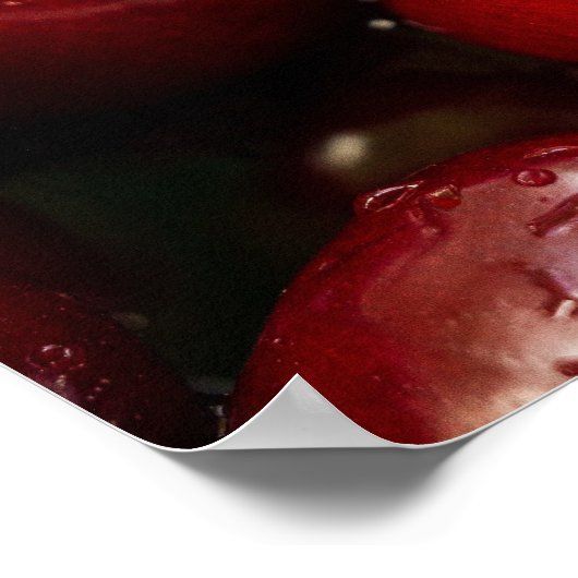 Rotkirsche-Foto Poster (Ecke)