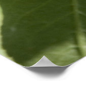 Rotkirsche Poster (Ecke)