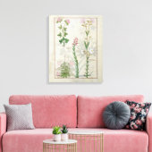 Rotklee & Aube Bellidis Onobrychis & Hyssopus Leinwanddruck (Insitu (Wohnzimmer))