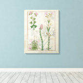 Rotklee & Aube Bellidis Onobrychis & Hyssopus Leinwanddruck (Insitu (Holzboden))