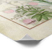 Rotklee & Aube Bellidis Onobrychis & Hyssopus Poster (Ecke)