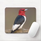 Rotkopf-Specht auf Zaun Mousepad (Mit Mouse)