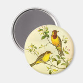 Rotkopfbeerdung Emberiza bruniceps Magnet (Vorderseite/Rückseite)
