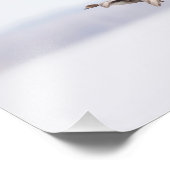 Rotkopfente im Flug Fotodruck (Ecke)