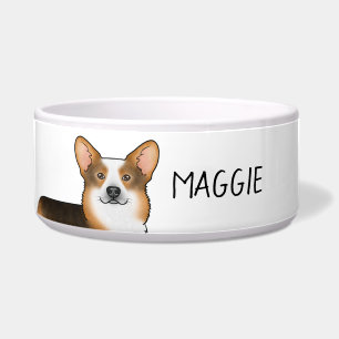 Rotköpfiger dreifarbiger Pembroke Welsh Corgi und  Napf
