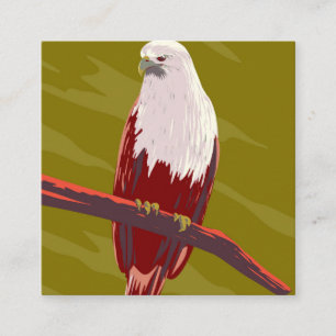Rotkopfseeadler Quadratische Visitenkarte