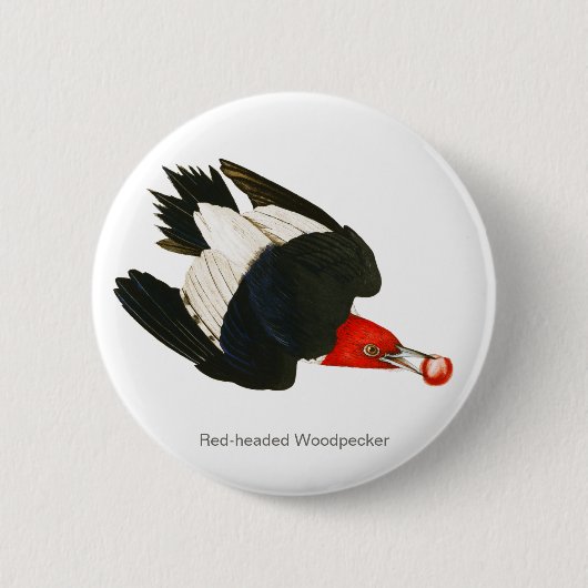 Rotkopfspecht, Audubon, Birdwatcher Bird Button (Vorderseite)