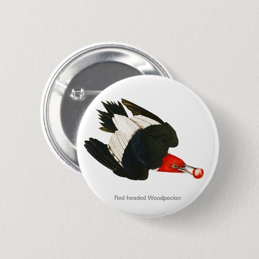 Rotkopfspecht, Audubon, Birdwatcher Bird Button (Vorne & Hinten)