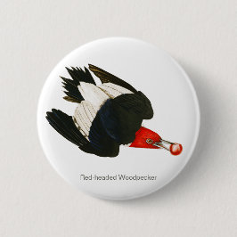 Rotkopfspecht, Audubon, Birdwatcher Bird Button