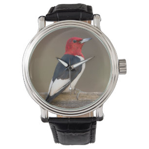 Rotkopfspecht auf Zaun Armbanduhr