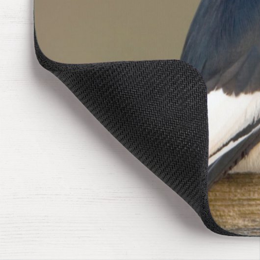 Rotkopfspecht auf Zaun Mousepad (Ecke)