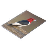 Rotkopfspecht auf Zaun Notizblock (Linke Seite)