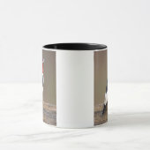 Rotkopfspecht auf Zaun Tasse (Zentrum)