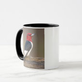 Rotkopfspecht auf Zaun Tasse (Vorderseite Links)