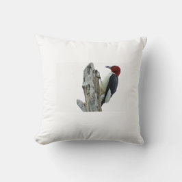 Rotkopfspecht Kissen