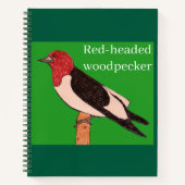Rotkopfspecht Notizblock (Vorderseite)