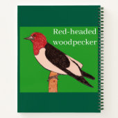 Rotkopfspecht Notizblock (Rückseite)