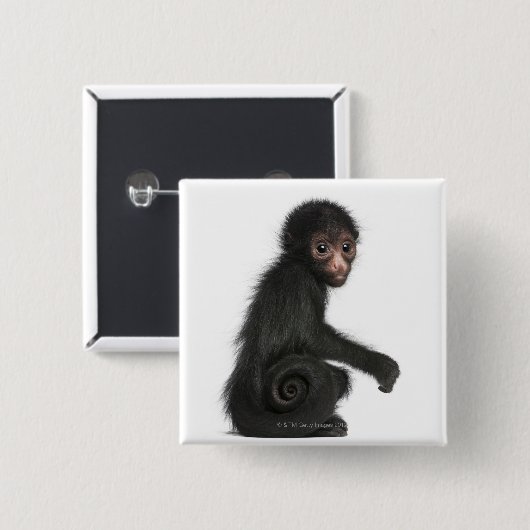 Rotkopfspinne - Ateles paniscus (3 Button (Vorne & Hinten)