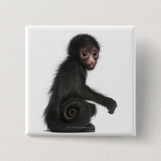 Rotkopfspinne - Ateles paniscus (3 Button (Vorderseite)