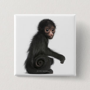 Rotkopfspinne - Ateles paniscus (3 Button