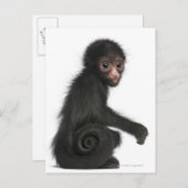 Rotkopfspinne - Ateles paniscus (3 Postkarte (Vorne/Hinten)