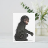 Rotkopfspinne - Ateles paniscus (3 Postkarte (Stehend Vorderseite)