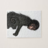 Rotkopfspinne - Ateles paniscus (3 Puzzle (Horizontal)