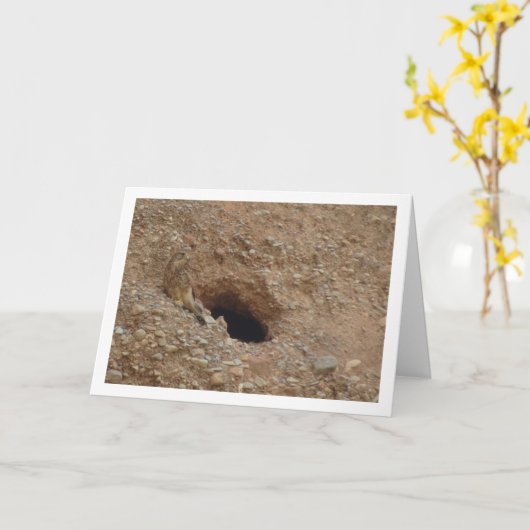 Rotkopfvogel, Falco Tinnunculus Karte (Gelbe Blume)