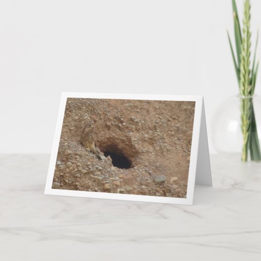 Rotkopfvogel, Falco Tinnunculus Karte (Vorderseite)