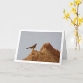 Rotkopfvogel, Falco Tinnunculus Karte (Gelbe Blume)