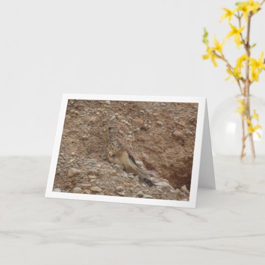 Rotkopfvogel, Falco Tinnunculus Karte (Gelbe Blume)