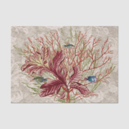 Rotkorallenfisch Seidenpapier