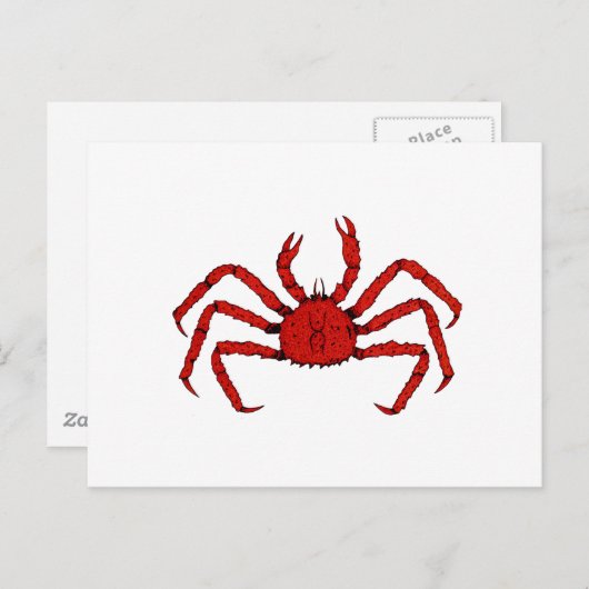 Rotkraut (Farbbild) Postkarte (Vorne/Hinten)