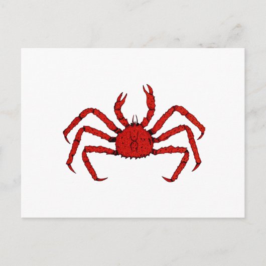 Rotkraut (Farbbild) Postkarte (Vorderseite)