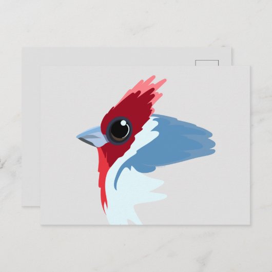 Rotkreuzer Kardinal Bird Postkarte (Vorne/Hinten)