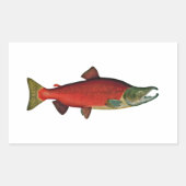 Rotlachs (Laichphase) Rechteckiger Aufkleber (Vorderseite)