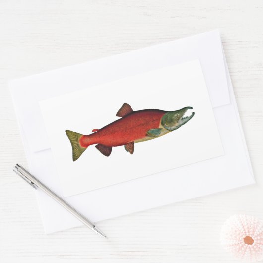 Rotlachs (Laichphase) Rechteckiger Aufkleber (Umschlag)