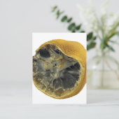 Rotlachs Postkarte (Stehend Vorderseite)