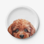 Rötlich braune Vorlage des Zwergpudels durch miart Pappteller (Vorderseite)