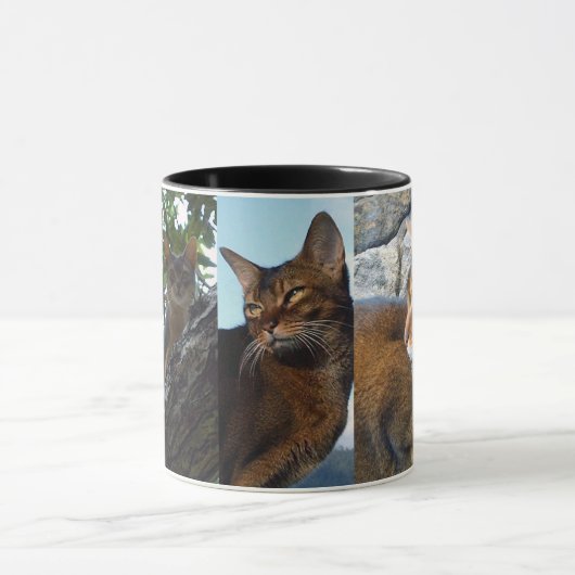 Rötliche abyssinische weibliche Katze Tasse (Zentrum)