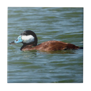 Rötliche Ente Fliese