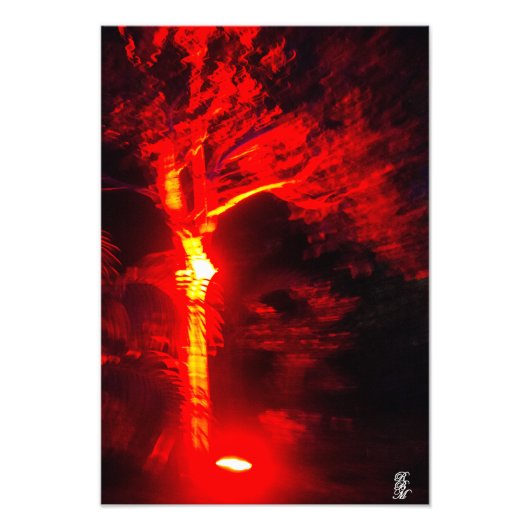 Rotlichtbaum Fotodruck (Vorne)