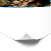 Rotlionfish, Raja Ampat - fotografisches Design | Poster (Ecke)