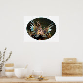 Rotlionfish, Raja Ampat - fotografisches Design | Poster (Küche)