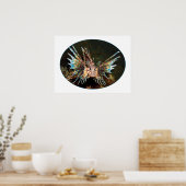Rotlionfish, Raja Ampat - fotografisches Design | Poster (Küche)