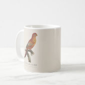 Rotlori oder Eos Bornea, Trichoglossus borneus Kaffeetasse (Vorderseite Links)
